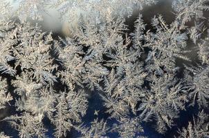 Schneeflocken Frost Raureif Makro auf Fensterglasscheibe foto