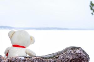 Ein kleiner Teddybär blickt auf den See. das Konzept der Traurigkeit und des Wartens auf ein Wunder foto