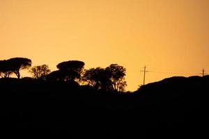 hinterleuchtete Landschaft in einem Sonnenuntergang foto