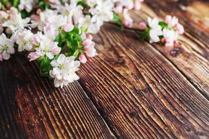 Sakura blüht auf einem dunklen rustikalen Holzhintergrund. Frühlingshintergrund mit blühenden Aprikosenzweigen und Kirschzweigen foto