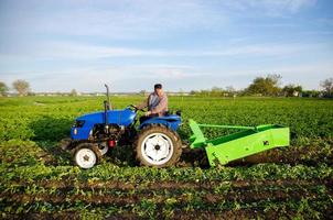 Ein Traktor mit Baggereinheit gräbt Landgemüse aus. der Einsatz moderner Technik auf dem Hof. Befreiung der Menschen von schwerer Landarbeit. Landwirtschaft und Ackerland. Landschaft. Lebensmittelproduktion foto