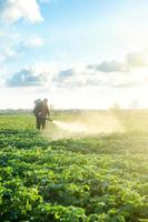 Landwirt mit einem Nebelsprühgebläse verarbeitet die Kartoffelplantage. Schutz und Pflege. Verwendung von Industriechemikalien zum Schutz von Pflanzen vor Insekten und Pilzen. Umweltschäden und chemische Verschmutzung foto