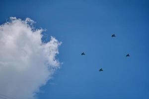 Parade von Militärflugzeugen. foto