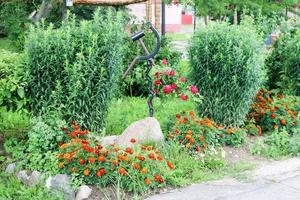 hausgemachtes blumenbeet mit schönem cet und pflanzen, grün und grünem gras foto