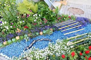 hausgemachtes blumenbeet mit schönem cet und pflanzen, grün und grünem gras foto