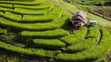 Luftaufnahme der Reisterrasse am Ban Pa Bong Piang in Chiang Mai, Thailand foto