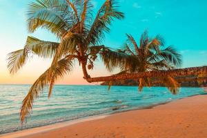 schöner tropischer sonnenuntergangstrand mit palme und blauem himmel für reisen in der urlaubsentspannungszeit, fotostilweinlese foto