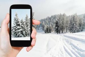 Touristen, die ein Foto von verschneiten Tannen machen