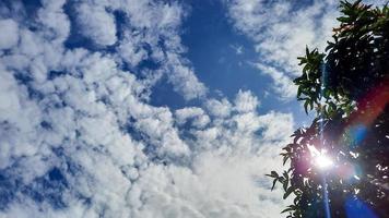 bewölkter klarer blauer Himmel mit Guavenblättern als Ornament 02 foto