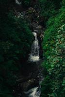 kleiner Wasserfall mitten im Wald foto