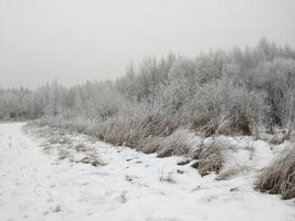 verschneite Winterlandschaft. foto