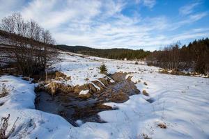 Winter auf dem Berg foto