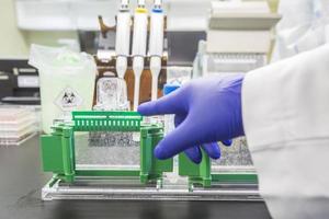 Western-Blot-Analyse oder Proteinanalyse foto