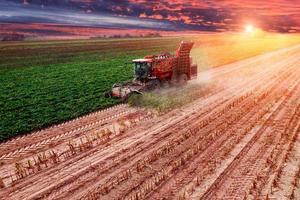 der rübenroder beendet seine arbeit bei sonnenuntergang foto