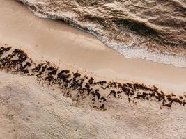 Wellen krachen am Strand foto