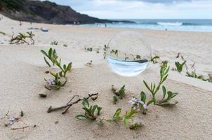 Lensball am Strand während des Tages foto