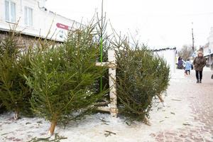 weihnachtsmarkt mit lebenden weihnachtsbäumen auf der straße der stadt. Silvesterstimmung, Schnee, geschnittene Tannen und Nadelbäume werden verkauft, der Duft von Harz und Tannennadeln. Kaluga, Russland, 29. Dezember 2020 foto