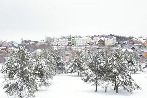 Schneebedeckte Bäume im Wald nach einem Schneefall. Fichten und Kiefern im weißen, natürlichen Hintergrund. Cottages auf einem Hügel über einem Schneefeld mit Pinien foto