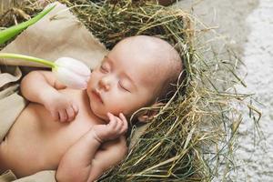 süßes kleines baby liegt in der holzkiste mit tulpenblume foto