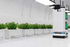 ein autonomer Roboter, der beim Transport und der Pflege von Gemüseplantagen hilft. foto
