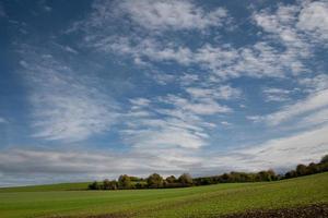 der blaue himmel mit weißen wolken über einer hügeligen landschaft mit einem baumsaum. der Hügel ist grün. die sonne scheint sanft. foto