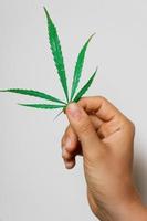 weibliche Hand mit einem grünen Cannabisblatt foto