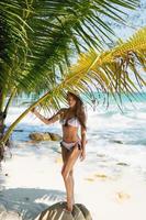Junge sexy Frau trägt einen Bikini, der im Schatten einer Palme posiert
