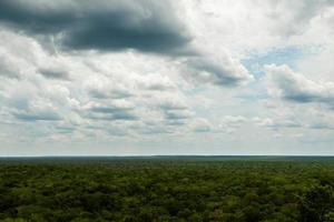 schöne luftaufnahme über den grünen regenwald foto