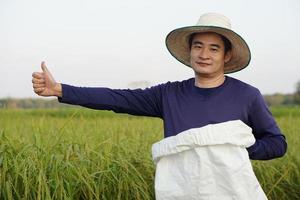 gutaussehender asiatischer Bauer ist auf einem Reisfeld, trägt Hut, hält weißen Sack mit organischem Dünger, Daumen hoch, selbstbewusst. konzept, landwirt zufrieden mit produkten für landwirtschaftliche kulturen. foto