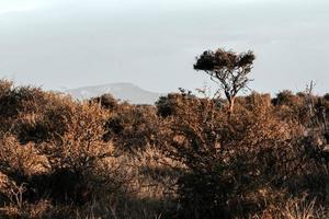 Landschaften im südlichen Afrika foto