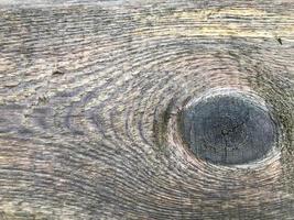 Holzstruktur. ein Baum mit einem schwarzen Kreis, ähnlich einer Pfauenfeder. schöne, ungleichmäßige und voluminöse Holzstruktur. natürlichen Hintergrund. Holz mit grauer, gelber und schwarzer Farbe foto