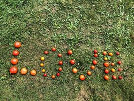 ein Wort aus einer Tomate, Buchstaben l, o, v, e. das Wort Liebe. Briefe aus roten und gelben Tomaten auf grünem Gras. Valentinstag. kreative Liebeserklärung. Liebe zum Essen foto