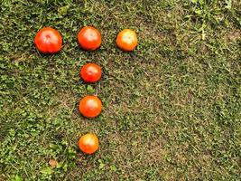 Brief aus Tomate. Inschrift aus Gemüse. der buchstabe t ist gesäumt von roten, saftigen und runden tomaten. Vitamin-Brief, auf einem Hintergrund von gelbem Gras. Herbsternte foto