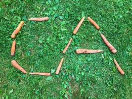 karottenbuchstaben liegen auf dem rasen. die buchstaben c und a auf dem gras. Vitamin-Alphabet. kreative beschriftung. Silben aus orangefarbenen Buchstaben. gesundes essen, diät foto