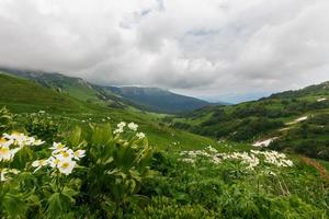 hochland und grüne wiesen oshten fisht im kaukasusreservat. Kaukasisches Reservat, Berg, Region Krasnodar foto