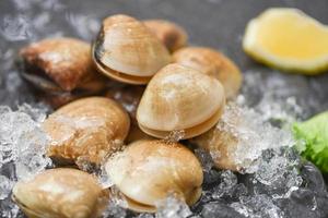 im Restaurant eingefrorene Schalentiere mit Meeresfrüchten auf Eis - frische Muschel mit Kräuterzutaten für Salat, Emaille-Venusmuschel, Salzwassermuscheln foto