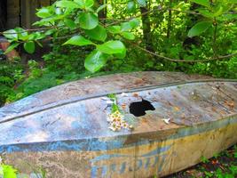 Foto eines alten Bootes mit einem Strauß Gänseblümchen im Wald
