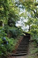 Treppe auf einem Hügel im Botanischen Park