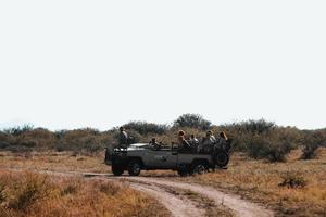 afrikanische safari, lkw foto