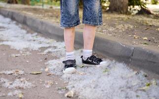 Kinderfüße in Turnschuhen auf dem mit Pappelflaum bedeckten Bürgersteig. Pappelblütenzeit, sonniger Tag im Park. Brandgefahr foto