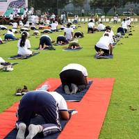 Gruppen-Yoga-Übungssitzung für Menschen verschiedener Altersgruppen im Cricket-Stadion in Delhi am internationalen Yoga-Tag, große Gruppe von Erwachsenen, die an Yoga-Sitzungen teilnehmen foto