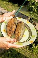 Die Hände einer Frau mittleren Alters halten ein Gericht mit heiß geräuchertem Makrelenfisch. Der Fisch ist fertig. der Prozess des Kochens von heiß geräucherter Makrele foto