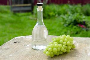 Weißweinflasche, Glas, junge Rebe und Weintraube vor grünem Frühlingshintergrund. sommerliches Traubengetränk foto