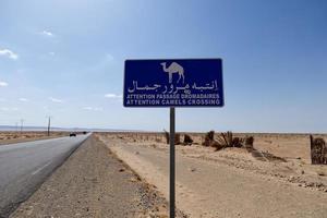 Straßenschild Achtung Kamele überqueren. Hüten Sie sich vor Kamelen, die die Straße im Wüstenpostschild überqueren. Fahren und reisen Sie mit Vorsicht. Respektieren Sie die Tiere, die die Straße überqueren. blauer Wegweiser. foto