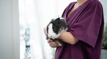 tierarzt behandelt kranke kaninchen er schenkt den jungen hasen die aufmerksamkeit, die sie brauchen, damit es ihnen gut geht foto