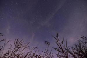 milchstraße mit vielen sternen am himmel über einem feld in deutschland im sommer foto
