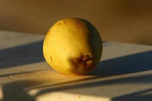 Gemüse und Obst werden auf einem Basar in Israel verkauft. foto