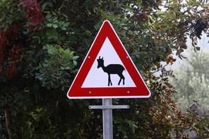 Verkehrszeichen und Verkehrszeichen in Israel foto