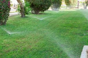 Sprinkler im Garten Bewässerung des Rasens. automatisches bewässerungskonzept für rasen foto