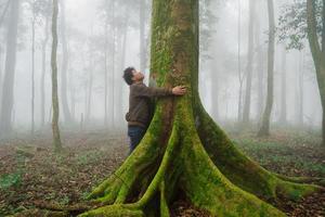 der mann erforscht den naturbaum im wald foto